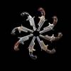 circle_MG_8561